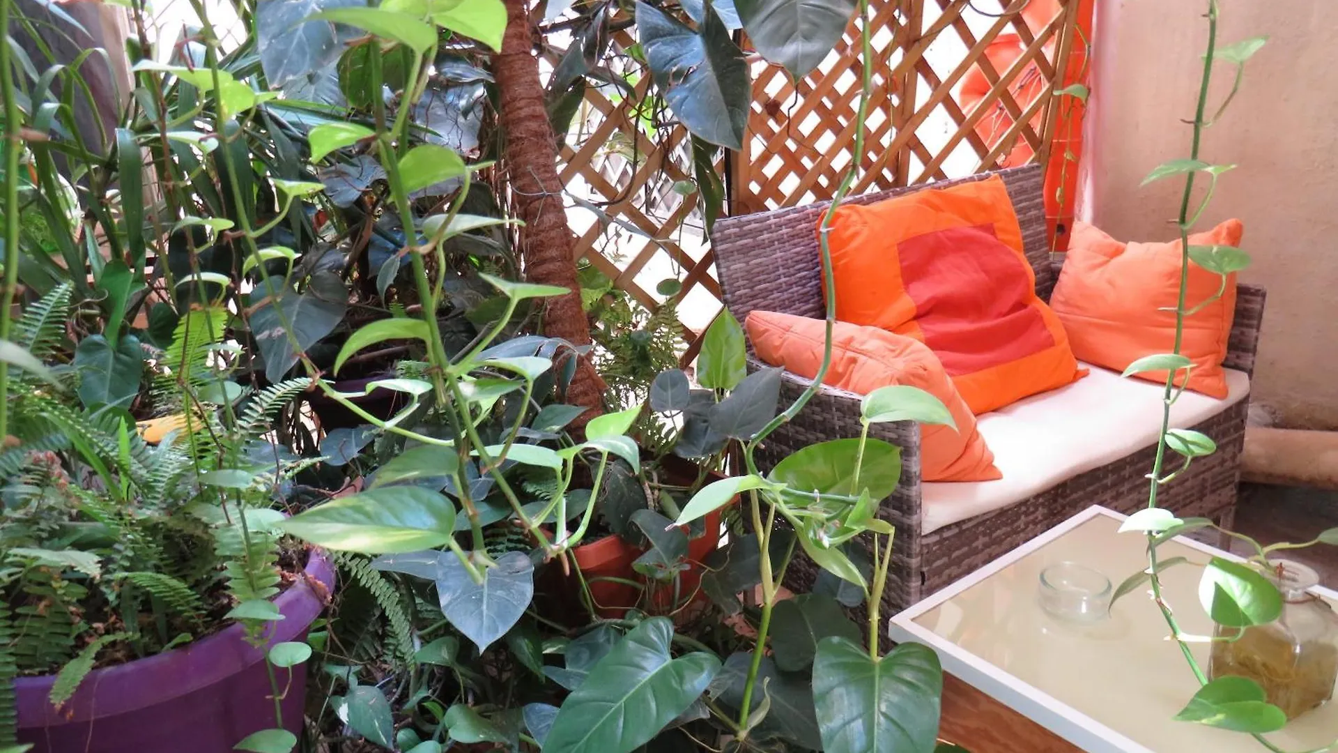 Alberto'S Apartment Παλέρμο